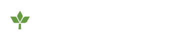City of Dallas logo